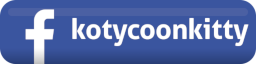 CoonKitty na Facebooku